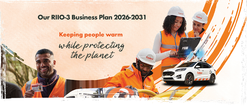 Draft-Determination-responses-Exec-summary-1